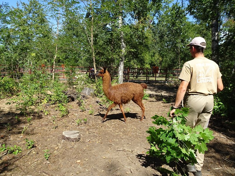 Nagrody przyznane, tablice odsłonięte (zdjęcia)