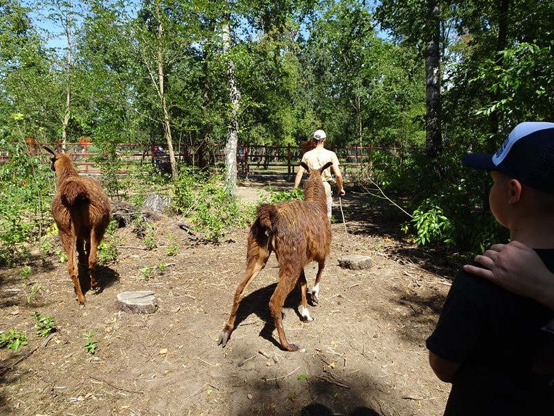Nagrody przyznane, tablice odsłonięte (zdjęcia)
