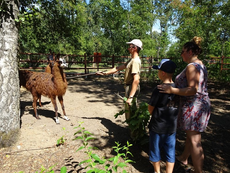 Nagrody przyznane, tablice odsłonięte (zdjęcia)