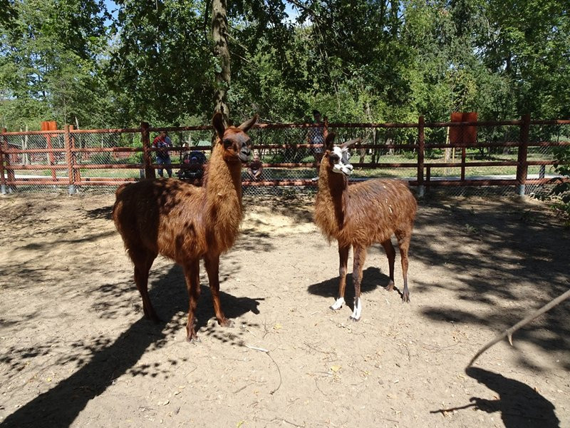 Nagrody przyznane, tablice odsłonięte (zdjęcia)