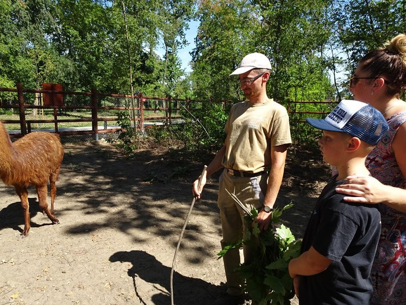 Nagrody przyznane, tablice odsłonięte (zdjęcia)