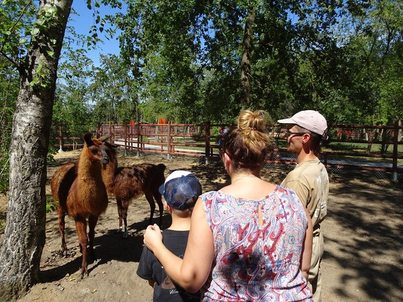 Nagrody przyznane, tablice odsłonięte (zdjęcia)