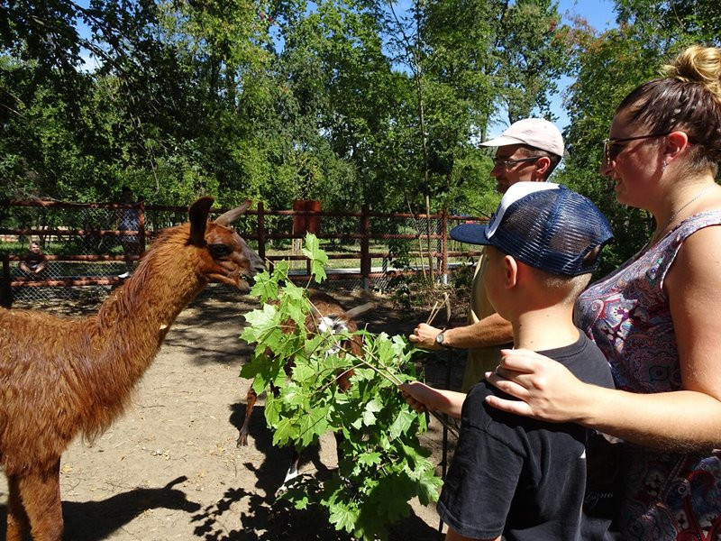 Nagrody przyznane, tablice odsłonięte (zdjęcia)