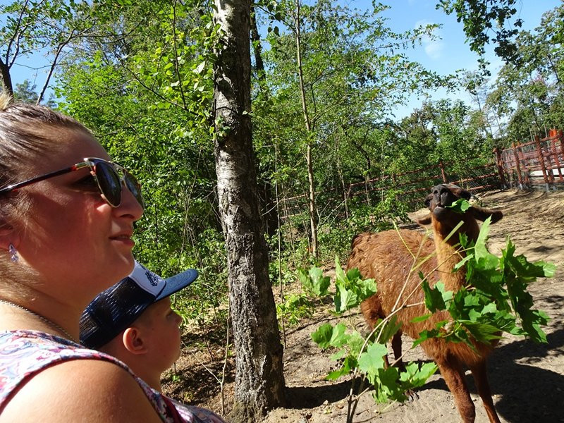 Nagrody przyznane, tablice odsłonięte (zdjęcia)