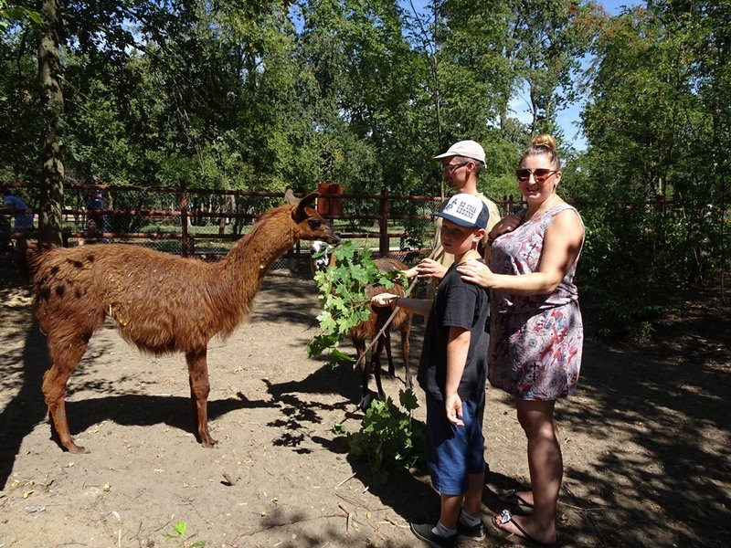 Nagrody przyznane, tablice odsłonięte (zdjęcia)