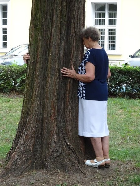 To jest recepta na stres (zdjęcia)