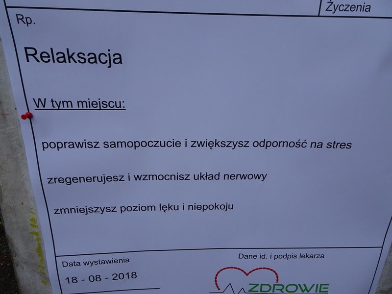 To jest recepta na stres (zdjęcia)