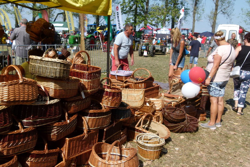 Traktorowy festiwal w Wilkowicach trwa (zdjęcia)
