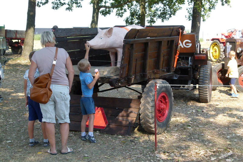 Traktorowy festiwal w Wilkowicach trwa (zdjęcia)