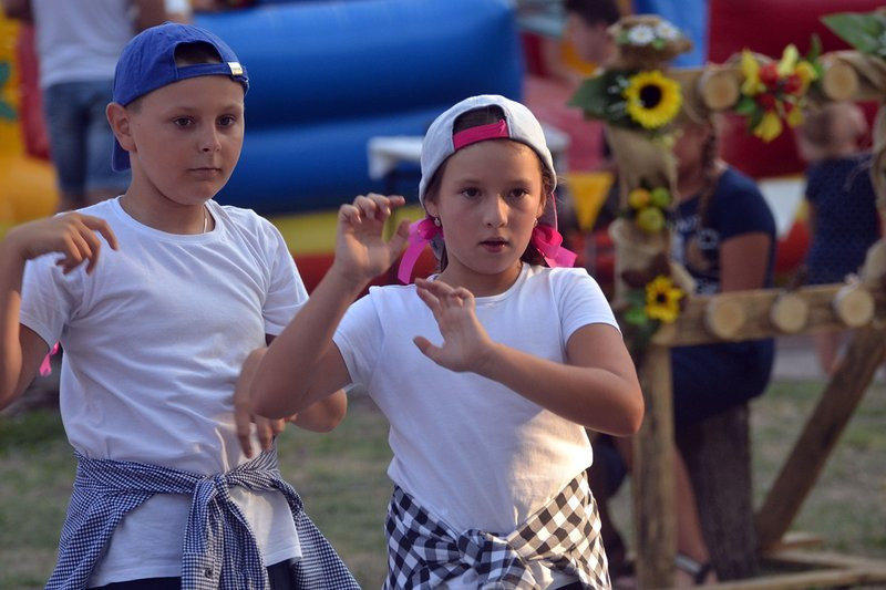 Dożynki w Pawłowicach (zdjęcia)