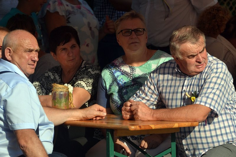 Dożynki w Pawłowicach (zdjęcia)