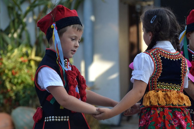 Dożynki w Pawłowicach (zdjęcia)