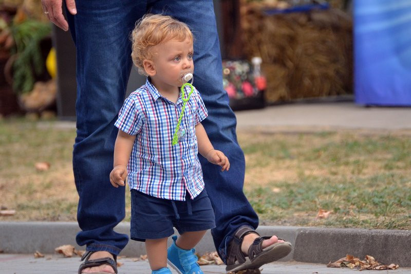 Dożynki w Pawłowicach (zdjęcia)