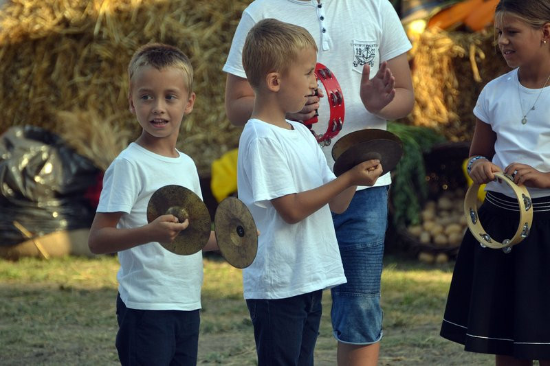 Dożynki w Pawłowicach (zdjęcia)