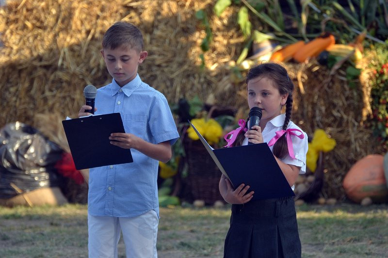 Dożynki w Pawłowicach (zdjęcia)