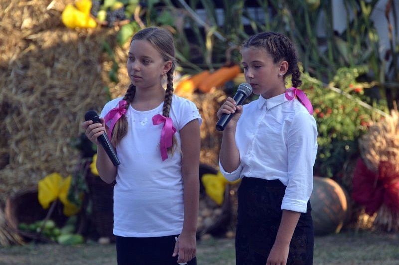 Dożynki w Pawłowicach (zdjęcia)