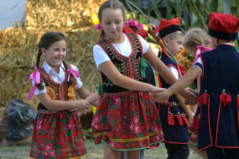 Dożynki w Pawłowicach (zdjęcia)