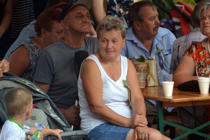 Dożynki w Pawłowicach (zdjęcia)