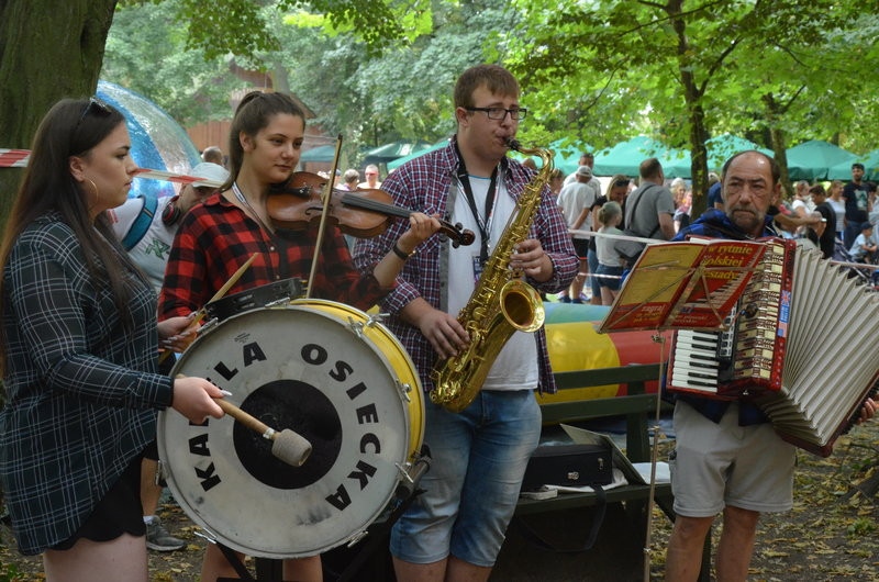 X Bieg Borków na kolorowo (zdjęcia)