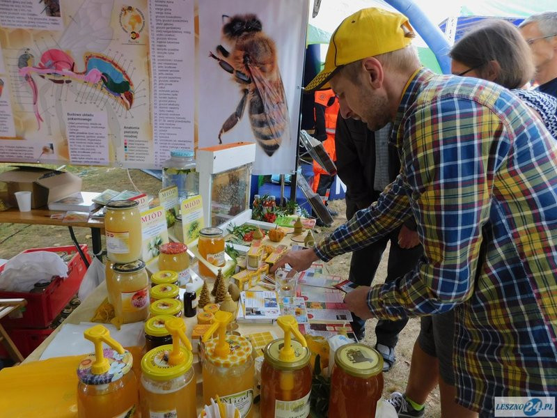 Piknikowo, smacznie i wesoło (zdjęcia)