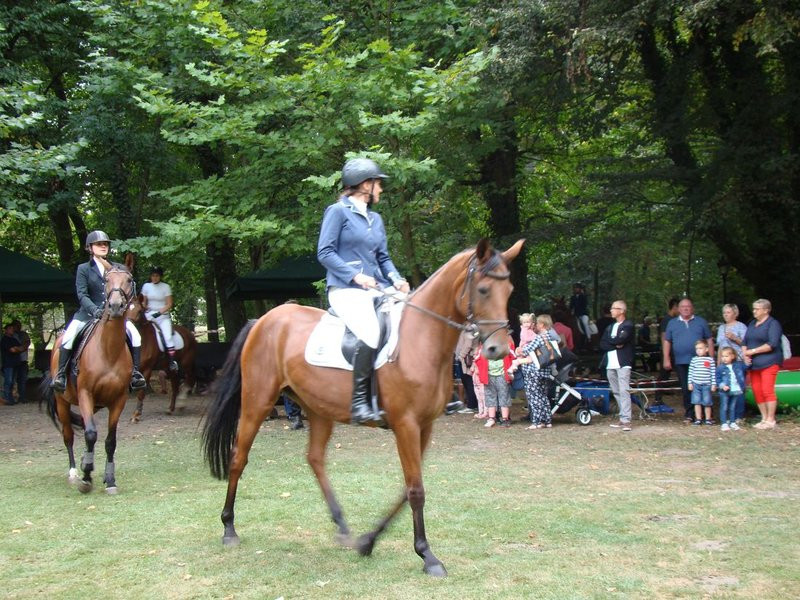 Dożynki w Osiecznej (zdjęcia)