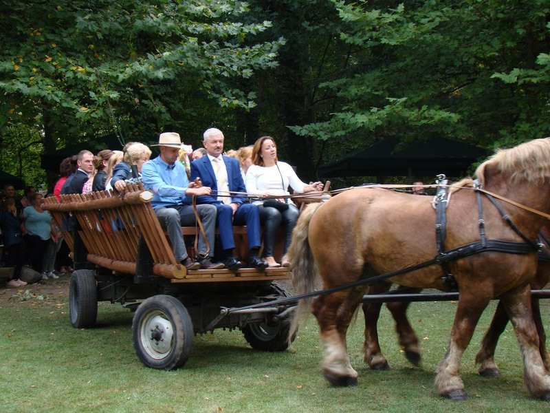 Dożynki w Osiecznej (zdjęcia)