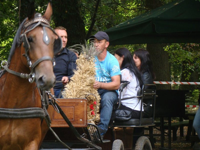 Dożynki w Osiecznej (zdjęcia)