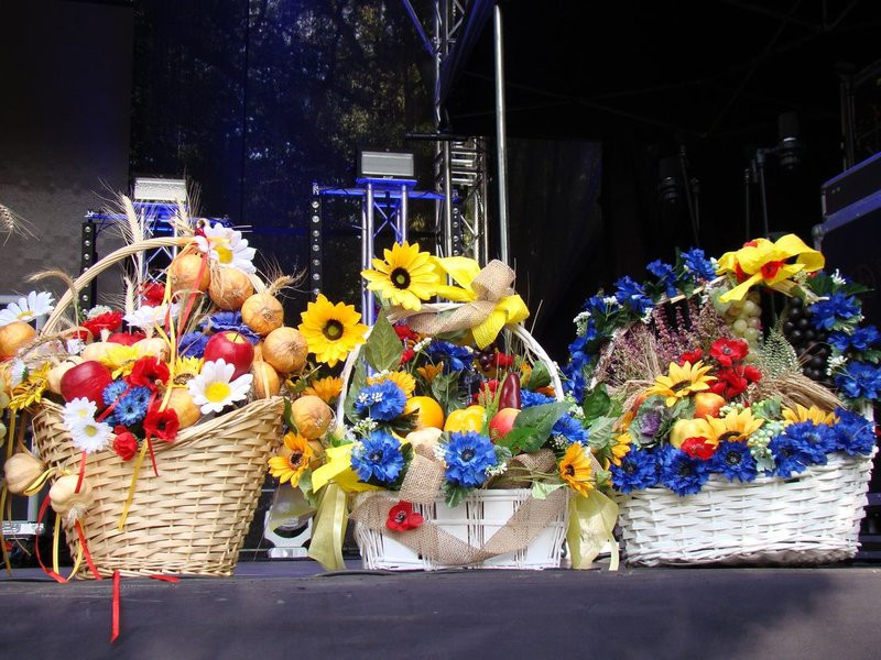 Dożynki w Osiecznej (zdjęcia)