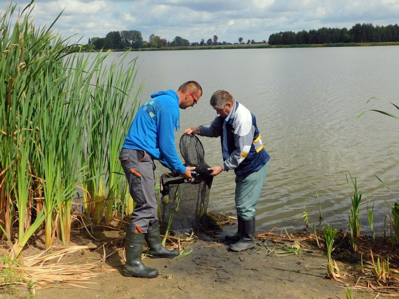 Wędkarskie puchary (zdjęcia)