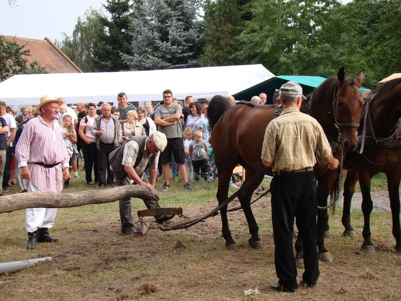 Dawniej na wsi to było fajnie! (zdjęcia)