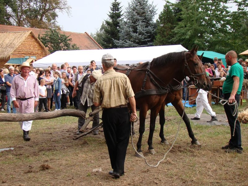 Dawniej na wsi to było fajnie! (zdjęcia)