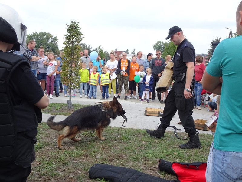 Piknik pod stadionem zakończony. Było wspaniale! (zdjęcia)