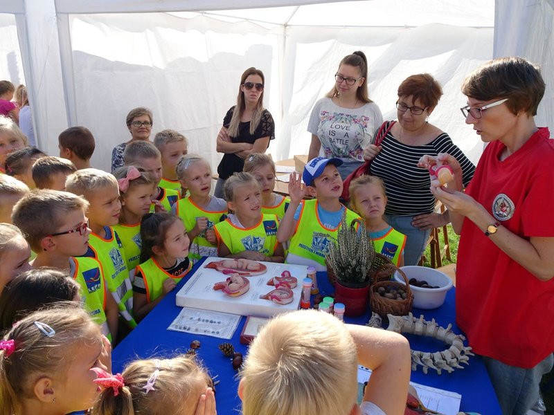 Dzień Zawodowca dla przedszkolaków (zdjęcia)