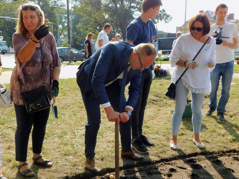 Amazonki posadziły żonkile (zdjęcia)