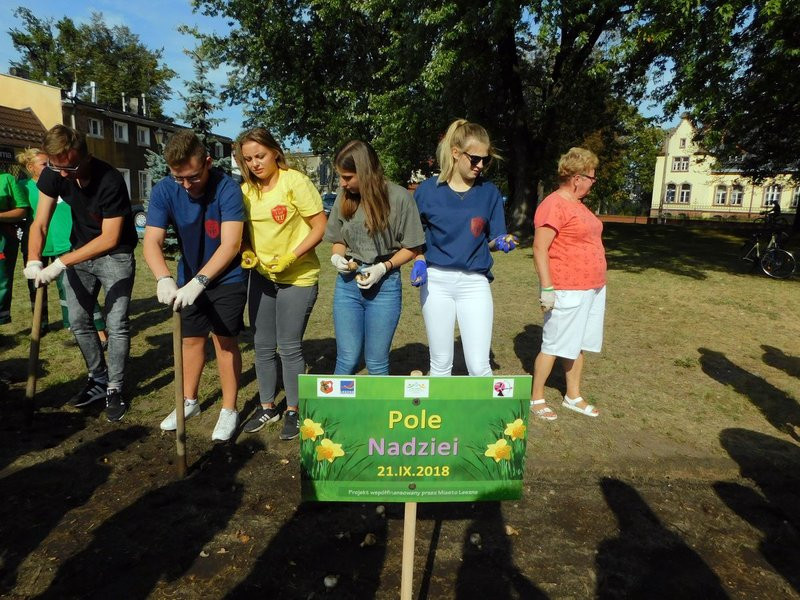 Amazonki posadziły żonkile (zdjęcia)