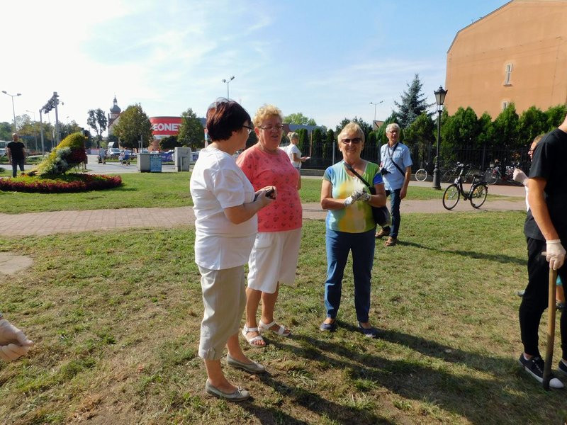 Amazonki posadziły żonkile (zdjęcia)