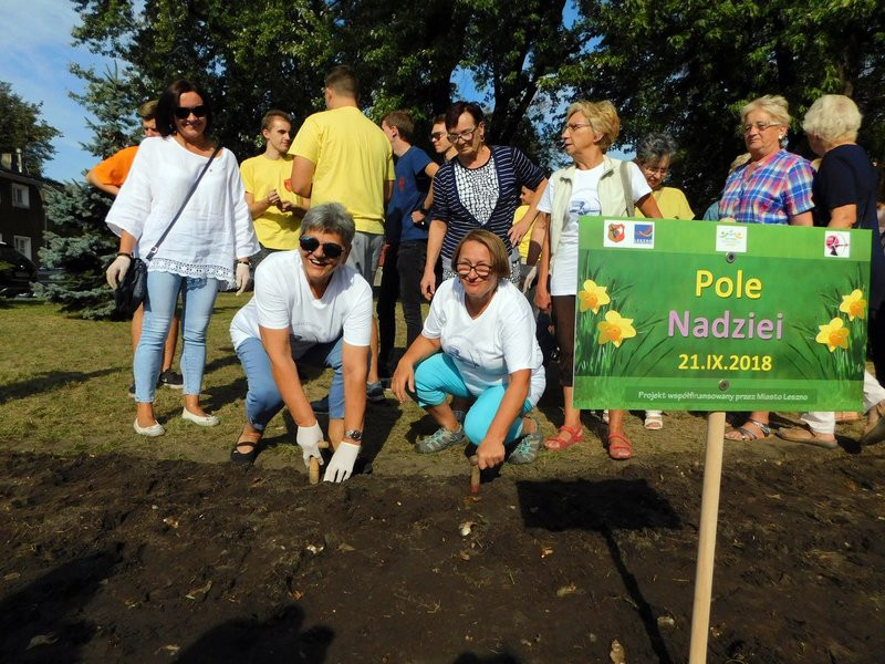 Amazonki posadziły żonkile (zdjęcia)