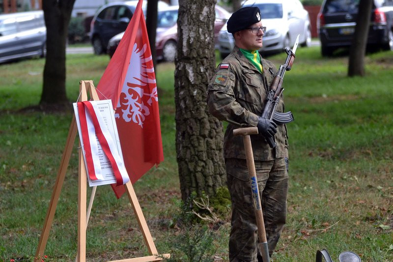 Cis dla powstańców posadzono w Mierzejewie (zdjęcia)