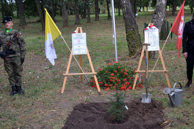 Cis dla powstańców posadzono w Mierzejewie (zdjęcia)