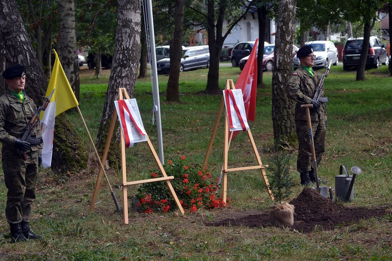 Cis dla powstańców posadzono w Mierzejewie (zdjęcia)