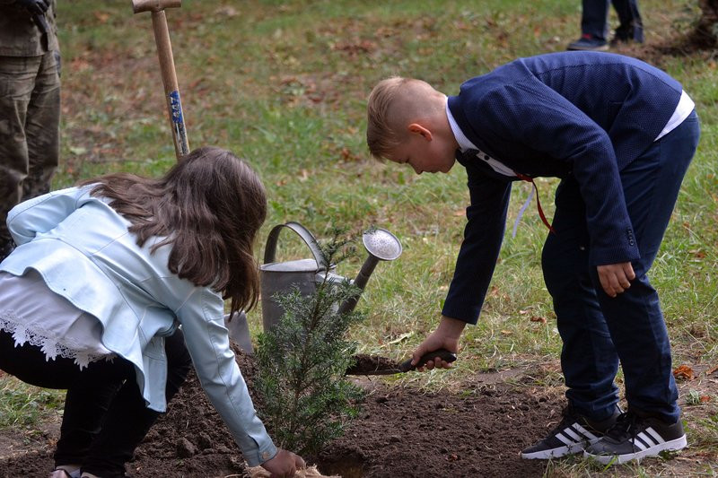Cis dla powstańców posadzono w Mierzejewie (zdjęcia)