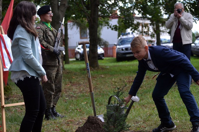 Cis dla powstańców posadzono w Mierzejewie (zdjęcia)