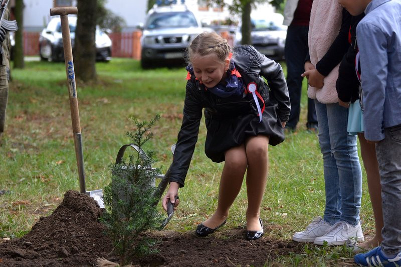 Cis dla powstańców posadzono w Mierzejewie (zdjęcia)