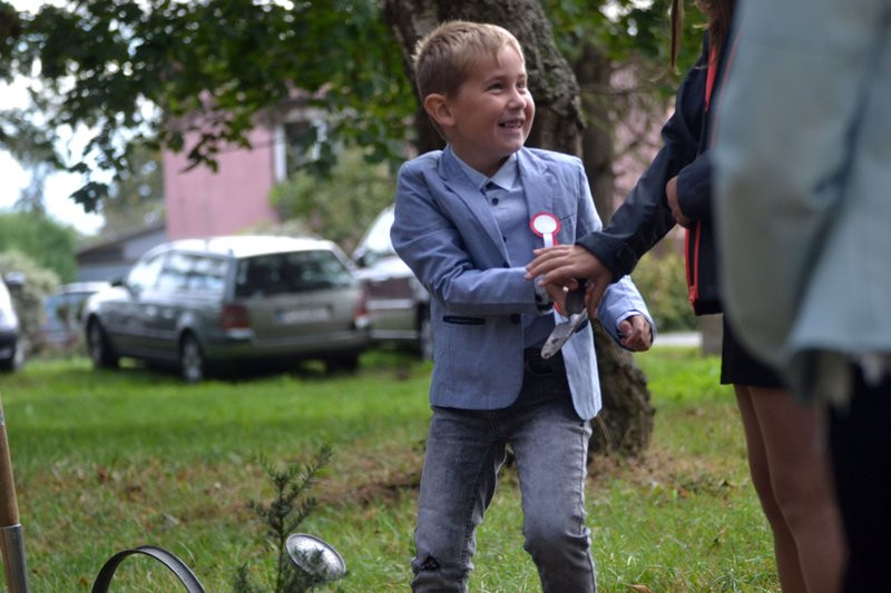 Cis dla powstańców posadzono w Mierzejewie (zdjęcia)