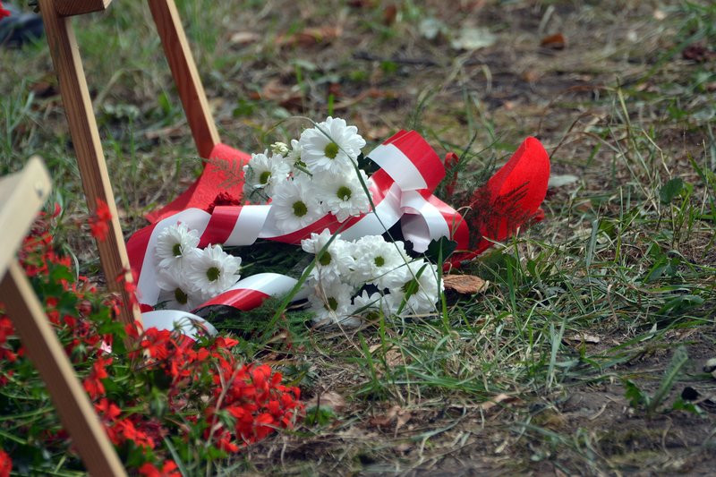 Cis dla powstańców posadzono w Mierzejewie (zdjęcia)