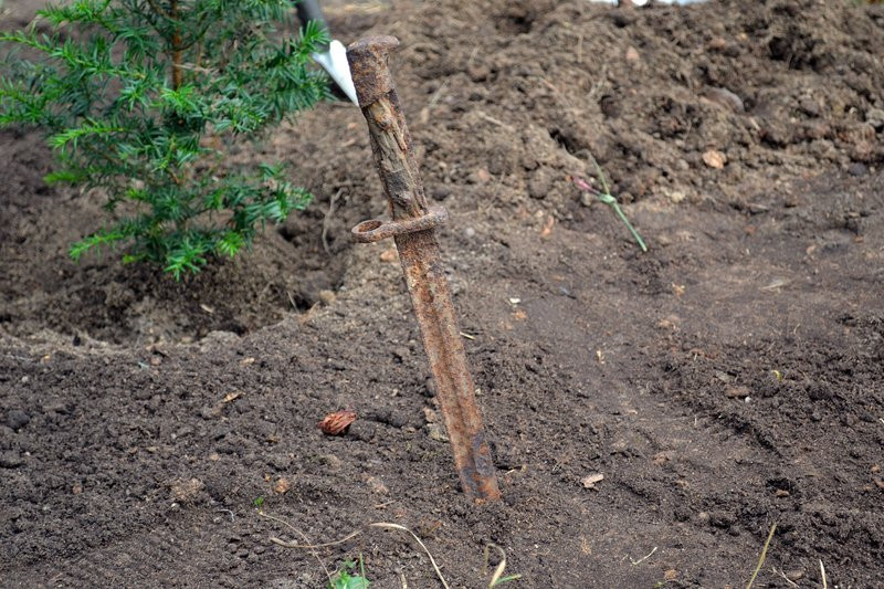 Cis dla powstańców posadzono w Mierzejewie (zdjęcia)