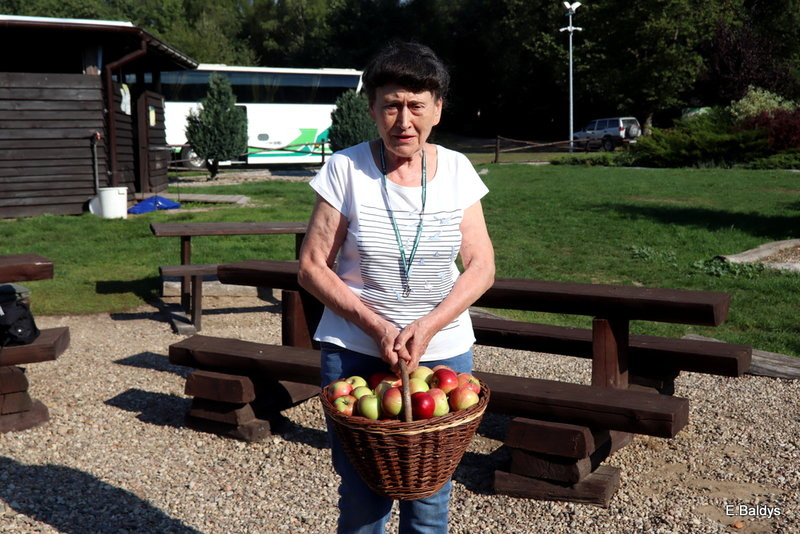 Seniorzy szukali grzybów (zdjęcia)