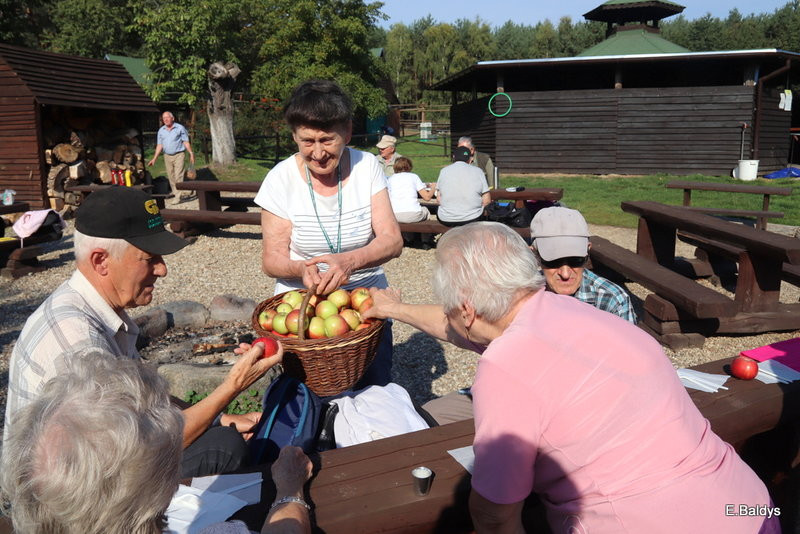 Seniorzy szukali grzybów (zdjęcia)