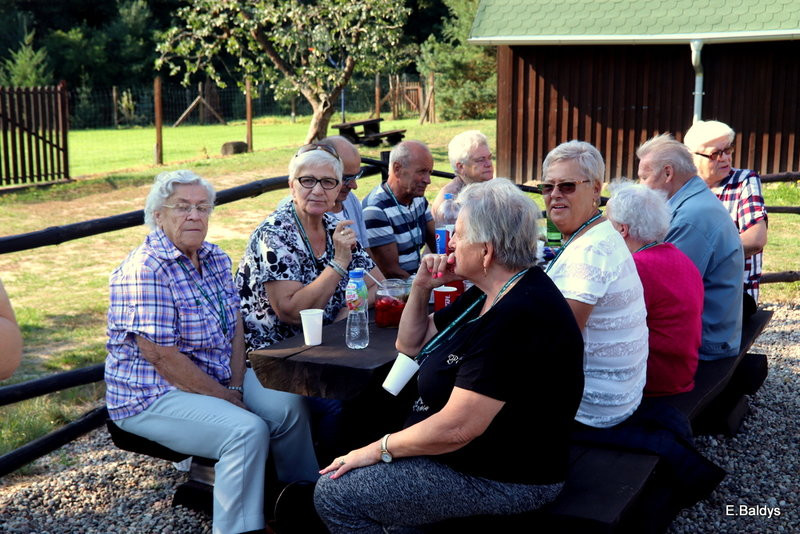 Seniorzy szukali grzybów (zdjęcia)