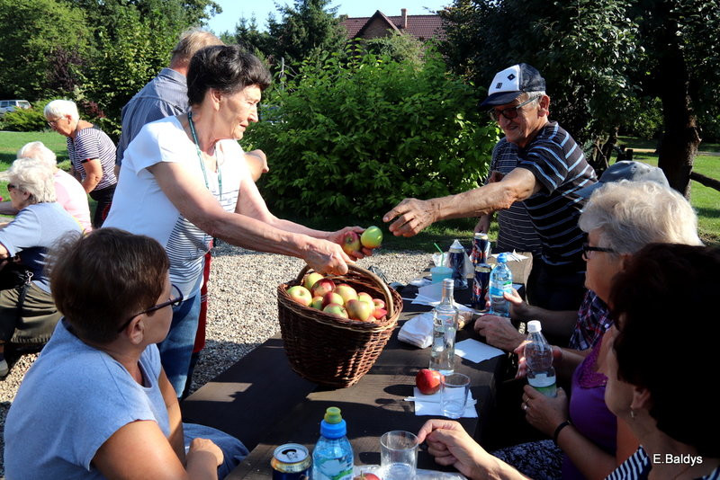 Seniorzy szukali grzybów (zdjęcia)